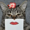 meow 21