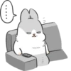 Machiko Rabbit 25