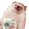Мэкс 24