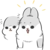 Machiko Rabbit 26