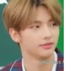 StrayKids 26