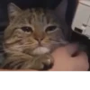 Memes semeM 3 by 27