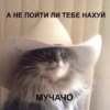 А НЕ ПОЙТИ ЛИ ТЕБЕ НАХУЙ МУЧАЧО