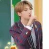 StrayKids 29