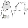 Machiko Rabbit 28