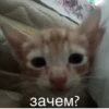 зачем?