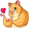 Mr. Hamster 24