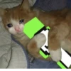 Mcyt reaction pic swag 28