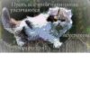 Мемные 3 27