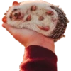Мэкс 30