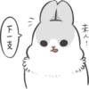 Machiko Rabbit 30