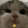 Мемные 3 28