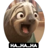 zootopia 6