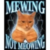 MEWING 13