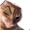 RANDOM AHH SH1Z 10