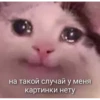 hihihih 11