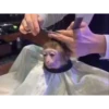 Monkeys333 9