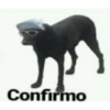 Confirmo
