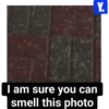 I am sure you can smell this photo Y.