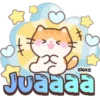 Taro el gatito 🐱🩵 18