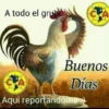 A todo el grupo A Buenos Días CA Aqui reportandome