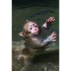 Monkeys333 12