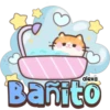 Taro el gatito 🐱🩵 19