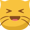 Smile Cat 5