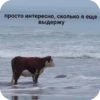 YiTROiG_by_achestickbot 12