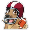 Vaden Dog 19