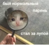 HbjbyIu_by_achestickbot 23