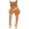 MEWING 24