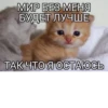 YiTROiG_by_achestickbot 22