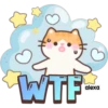 Taro el gatito 🐱🩵 26