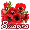 wers-coudby 8 марта