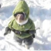 Monkeys333 18