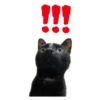 Sui, coool black cat boy 5