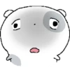 Timid Hamster 5