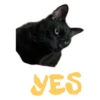 YES