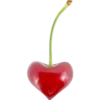Vegan Hearts for Lovers & Loved Ones 6