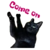 Come on *
