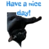 Have a nice day!