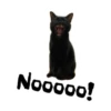 Nooooo!