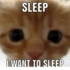 SLEEP WANT TO SLEEP