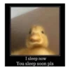 I sleep now You sleep soon pls