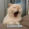 Goodnight