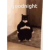 goodnight