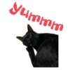 Sui, coool black cat boy 14