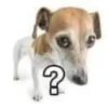 ?