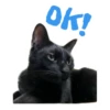OK!